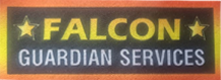Falcon Guardian